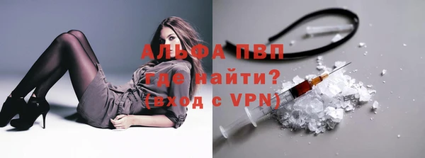 эйфоретик Новозыбков