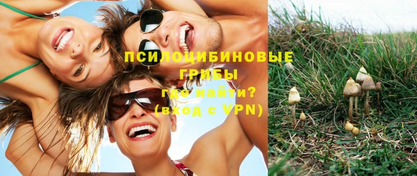 эйфоретик Новозыбков
