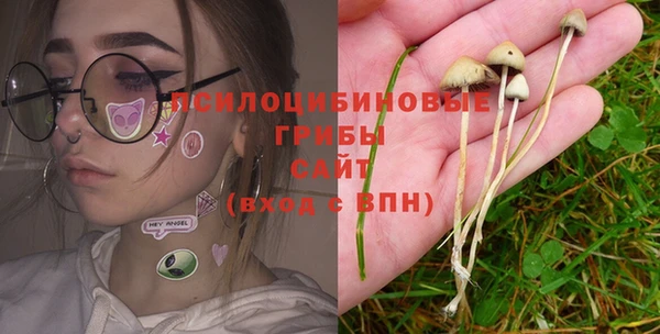 эйфоретик Новозыбков